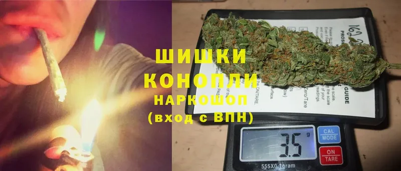 Конопля OG Kush  Заполярный 